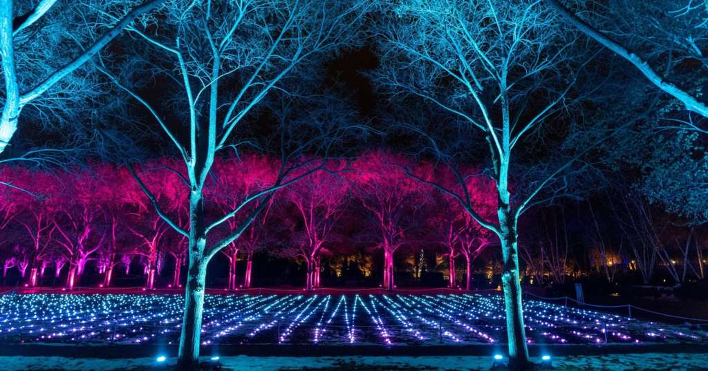 Experience Lightscape At The Chicago Botanic Garden This Season