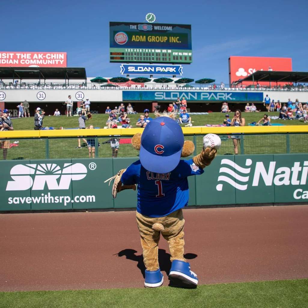 cubs spring training mascot