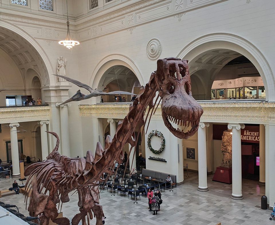 Have a Drink With Máximo the Titanosaur at the Field Museum’s Chicago