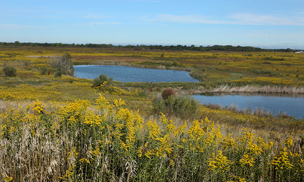 state parks near chicago