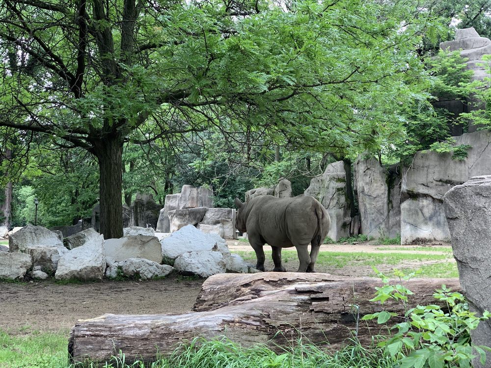 lincoln park zoo reopening