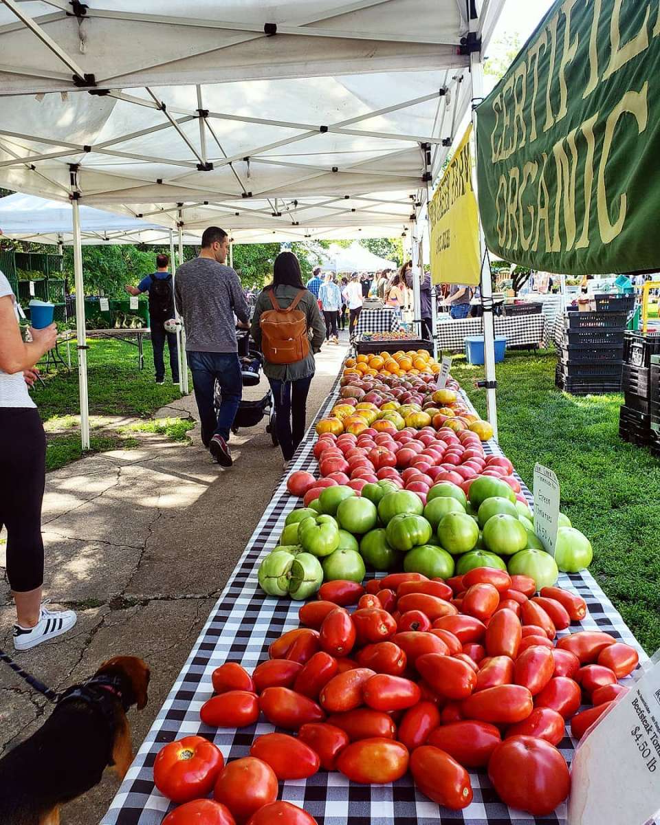 summer farmers markets chicago