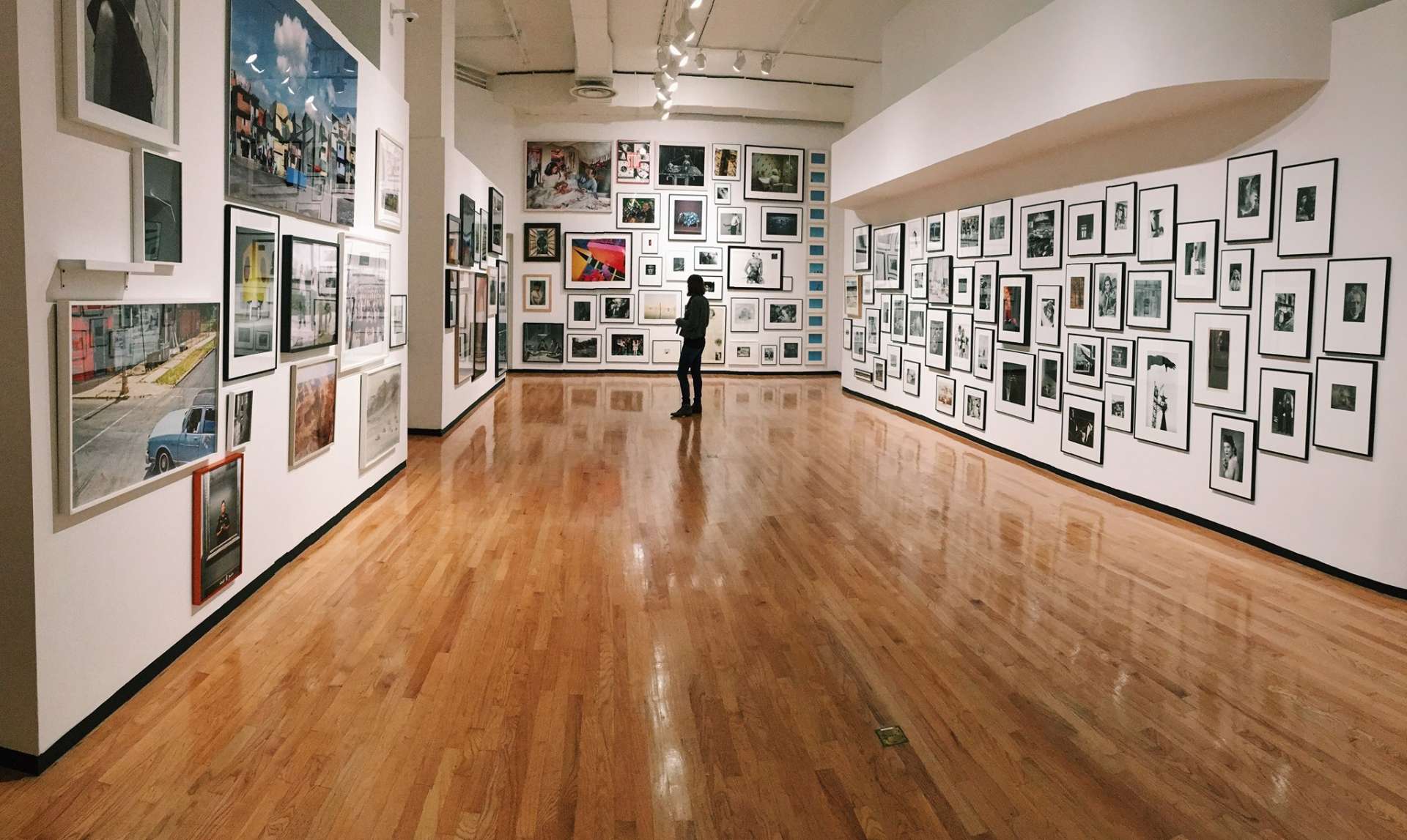 You Can Visit These WorldFamous Chicago Museums for Free Right Now