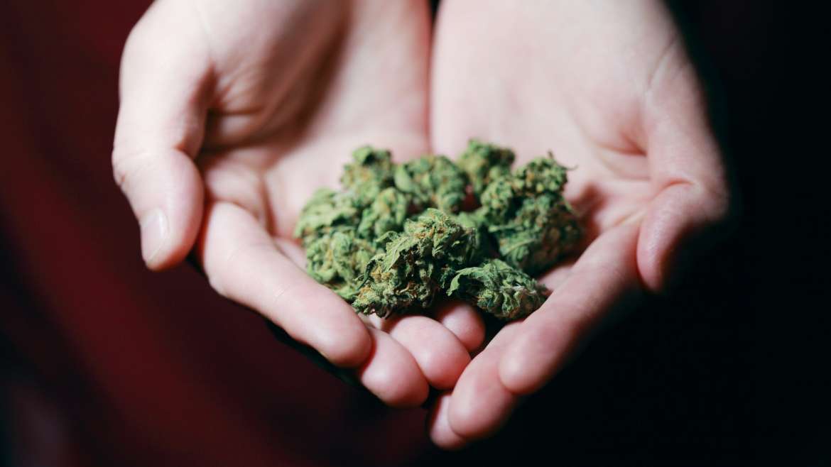 Naperville Recreational Cannabis Sales