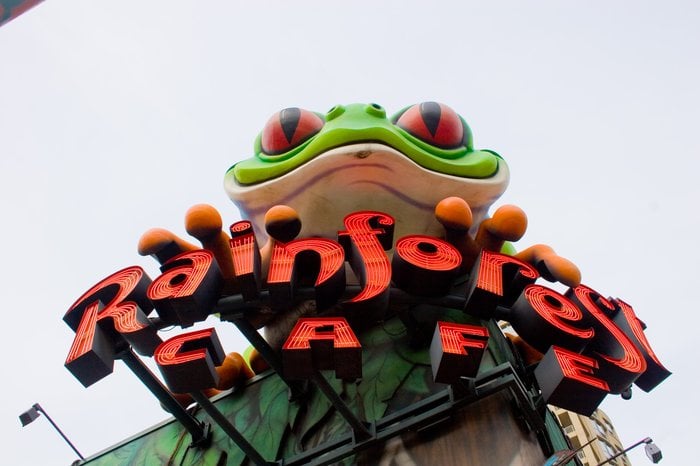 Rainforest Cafe to close at suburban Chicago's Woodfield Mall - Eater  Chicago