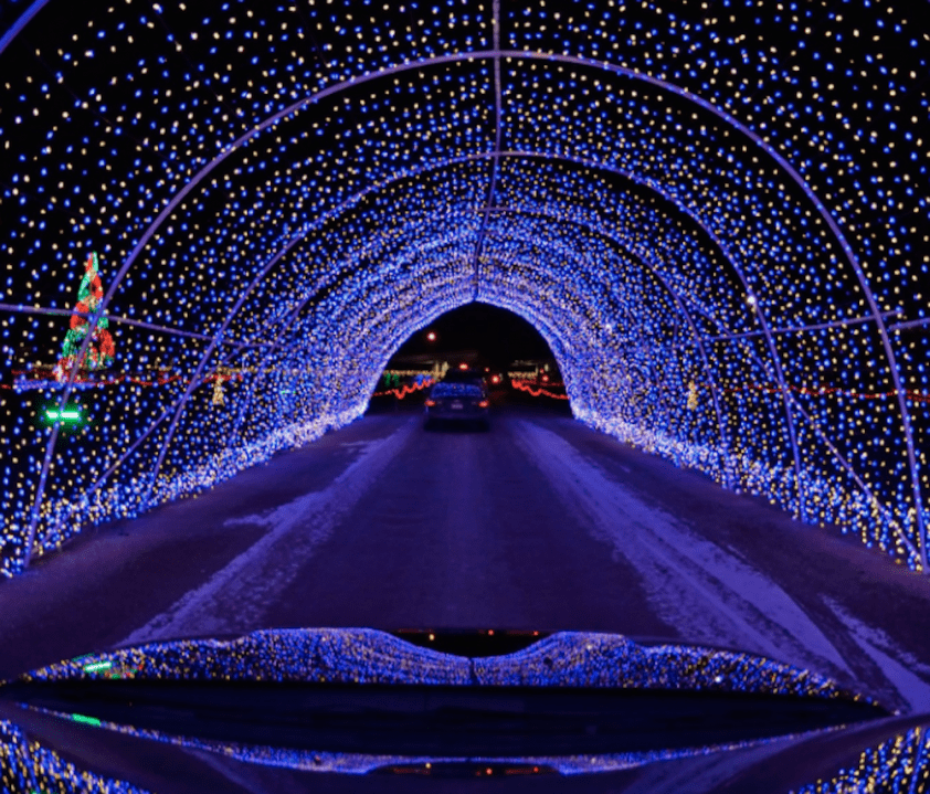 Morton Arboretum is Still Running Illumination Tree Lights in 2020