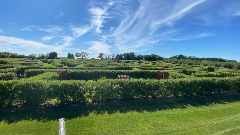 Apple Orchards Chicago