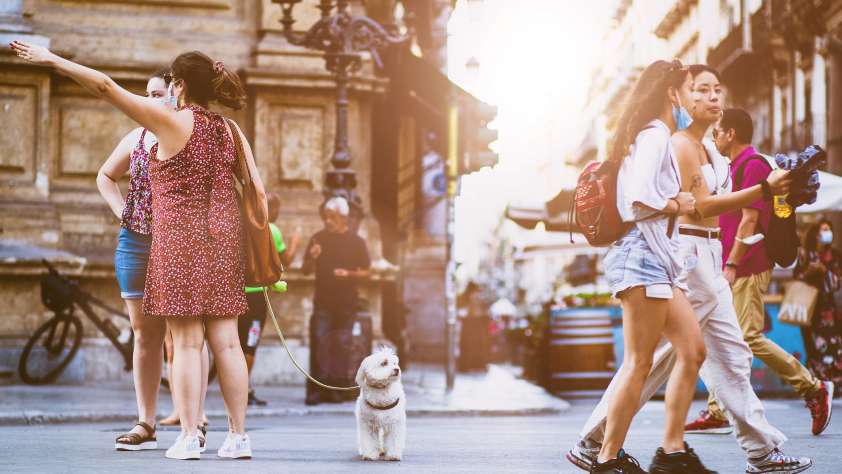Dog Walking Services Chicago
