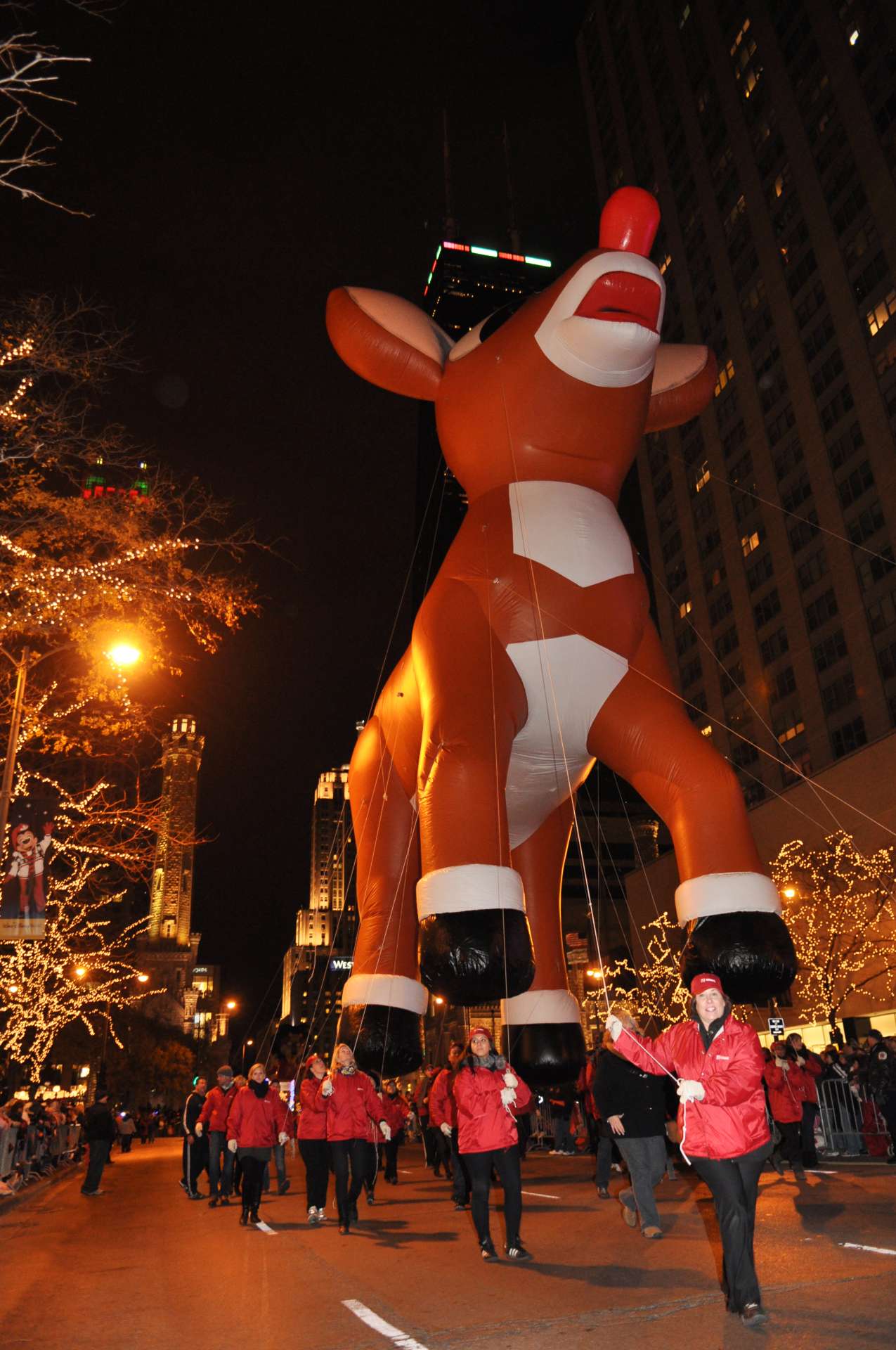 Rudolph display