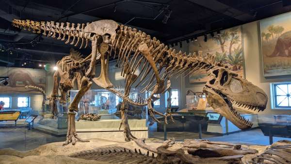 The Best Exhibits to See at the Field Museum Right Now | UrbanMatter