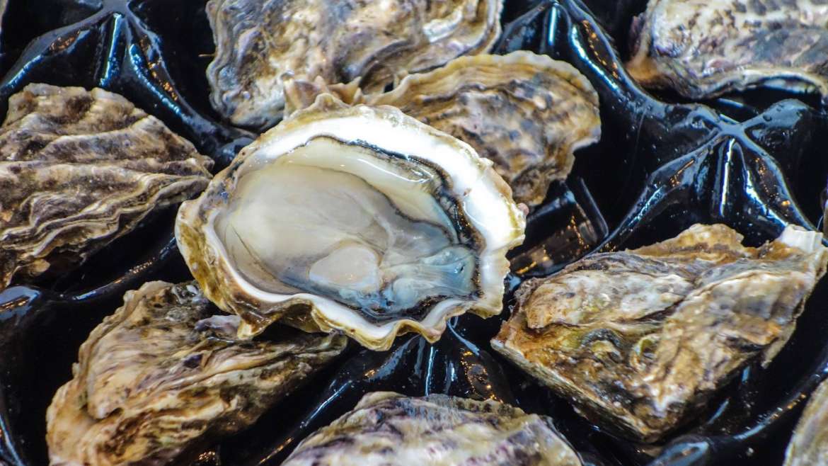 best fresh seafood markets in chicago dirk's ft