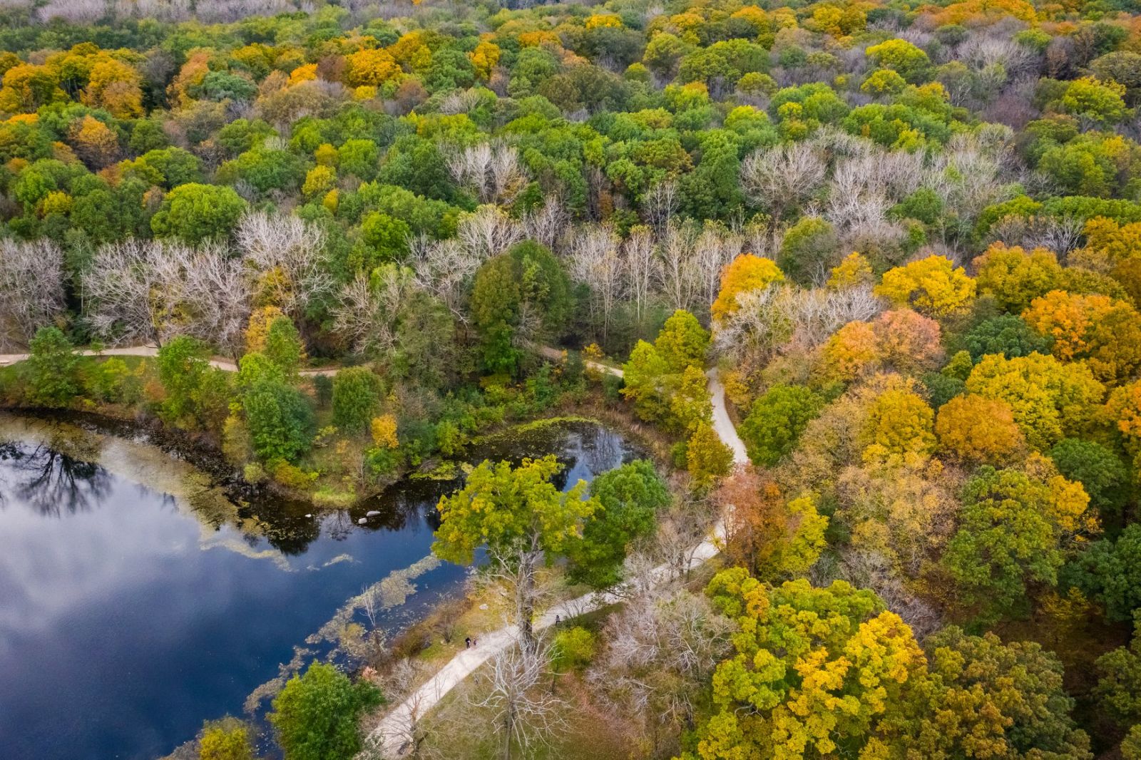 busse woods forest preserve