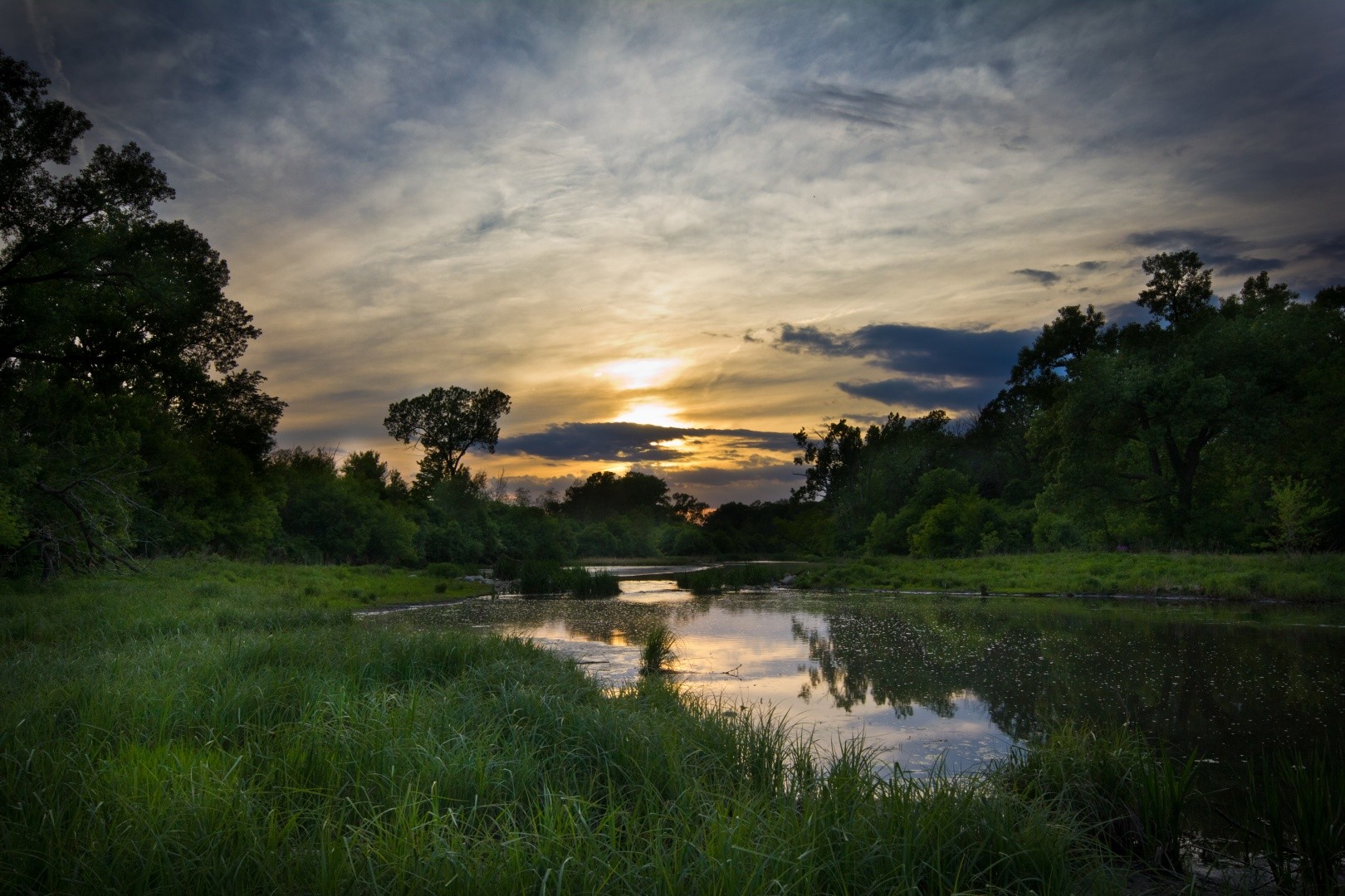 East Branch Forest Preserve western suburb