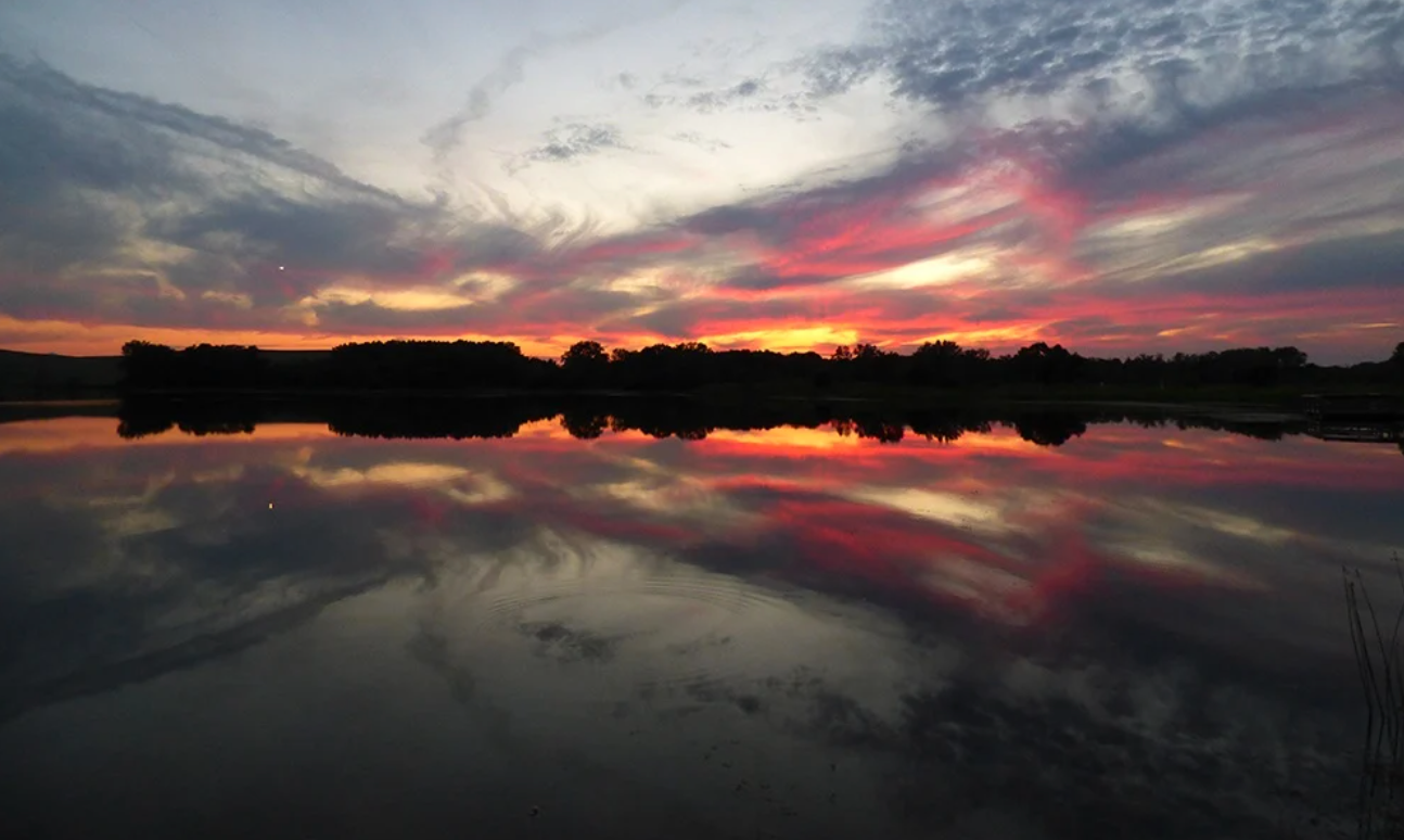 mallrd lake