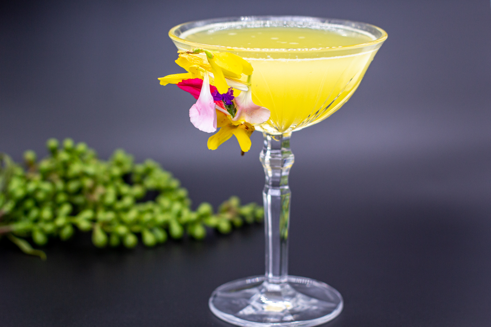 tabu cocktail