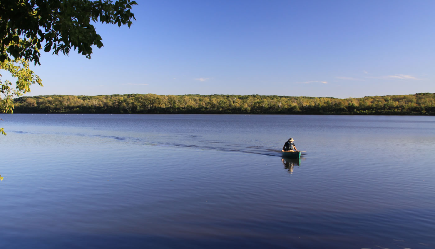 busse woods