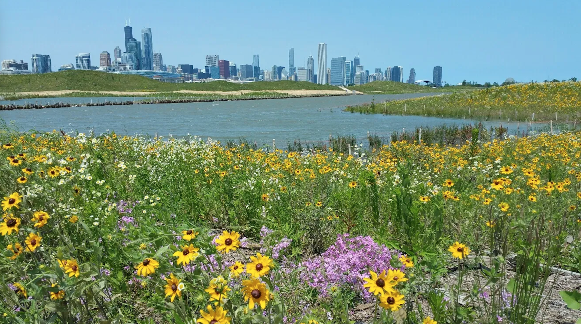 northerly island