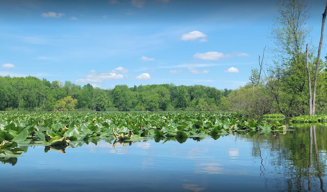 chain o lake