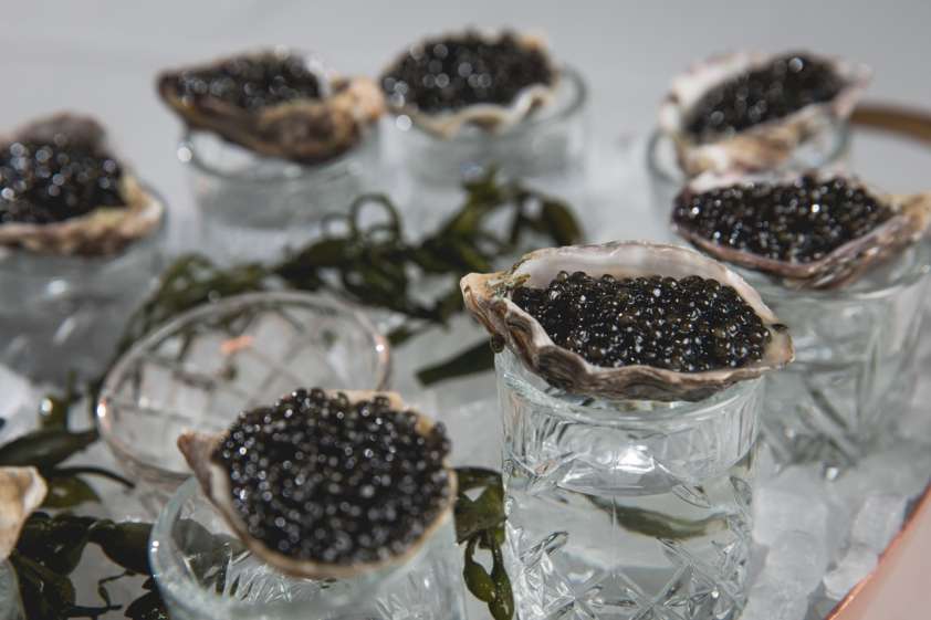 8 Best Oyster Bars to Visit in Chicago UrbanMatter