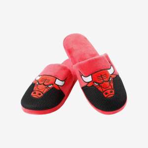 A pair of Chicago Bulls slippers.