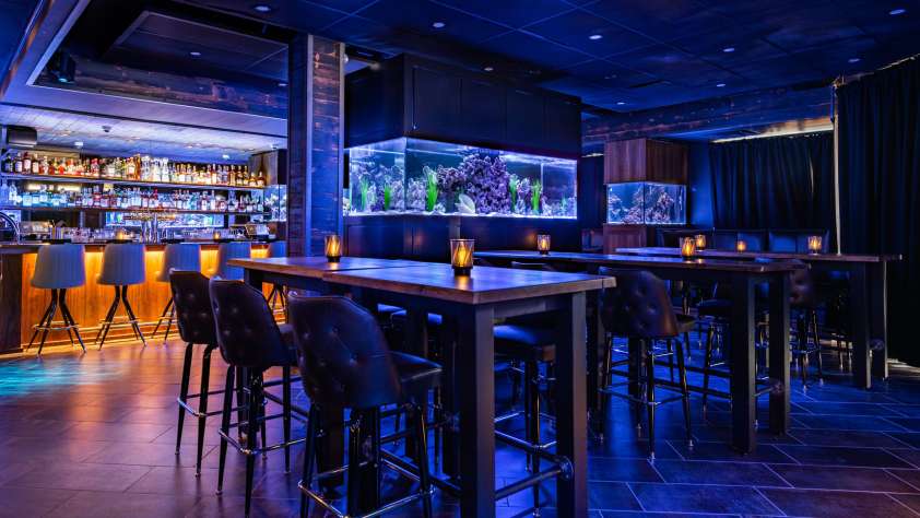 unique bars in chicago to visit lost reef aquatic lounge