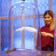 Harry Potter™: Magic at Play Comes to Chicago