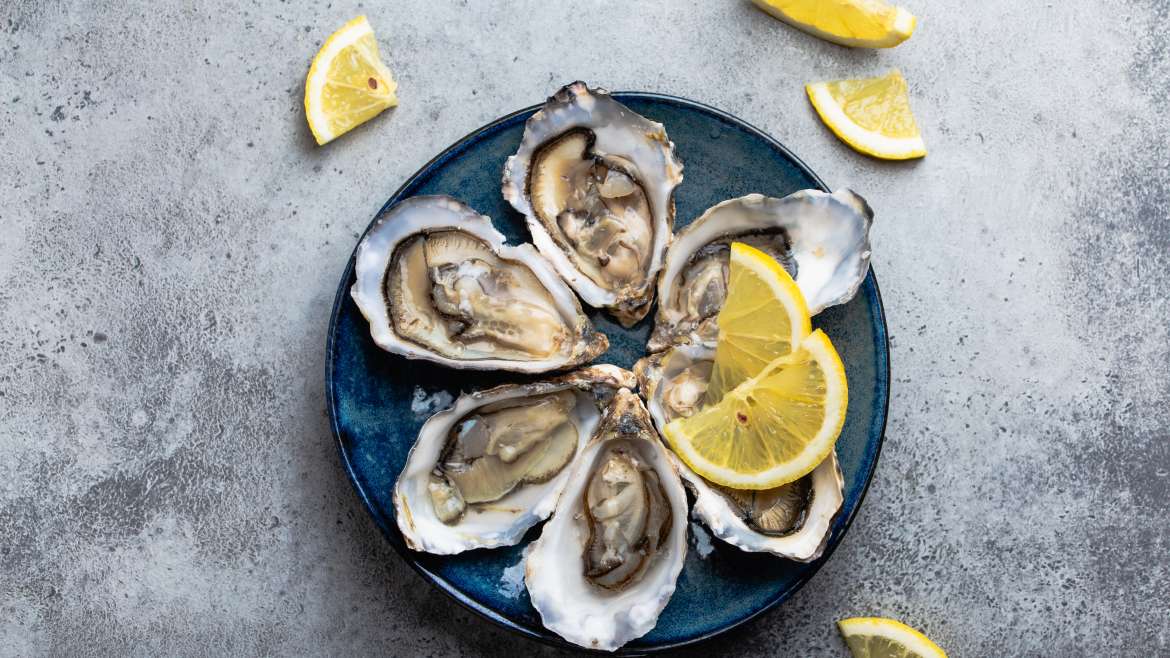 seafood restaurant in rosemont saltwater coastal grill