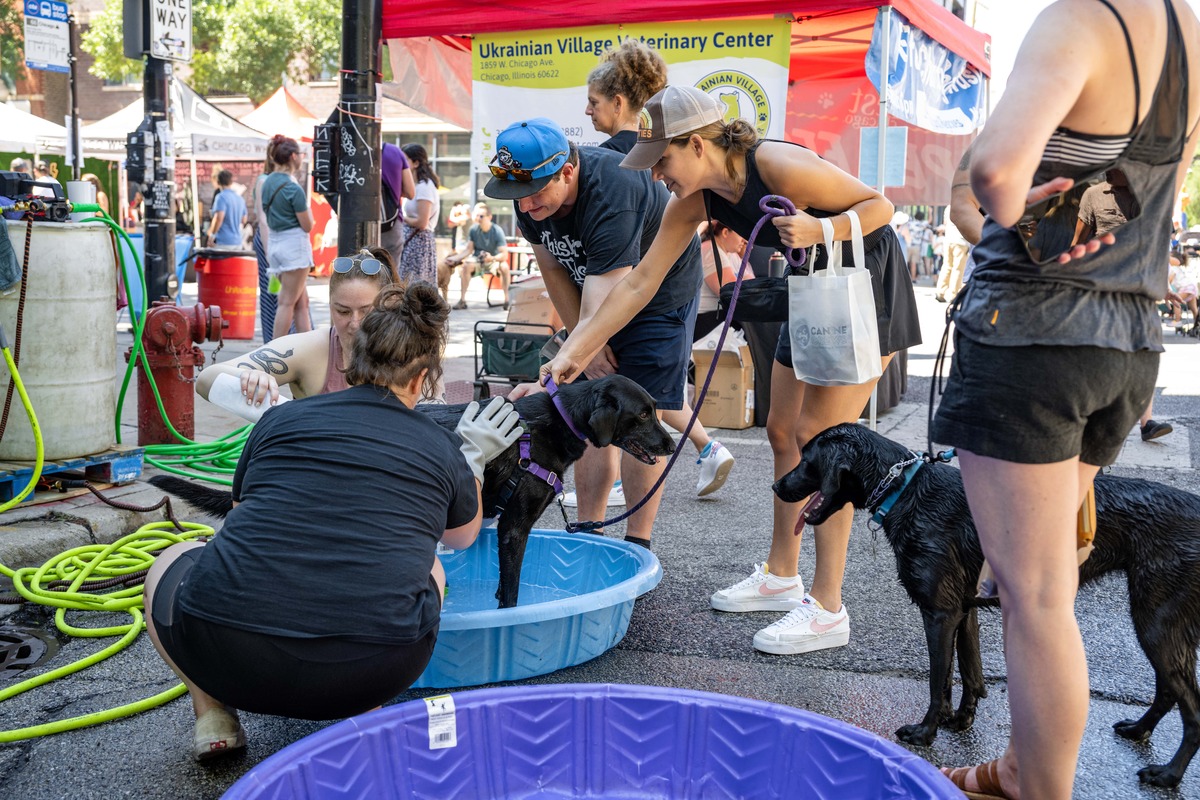 pet cooling pool 