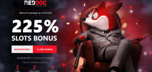 Red Dog Online Casino IL