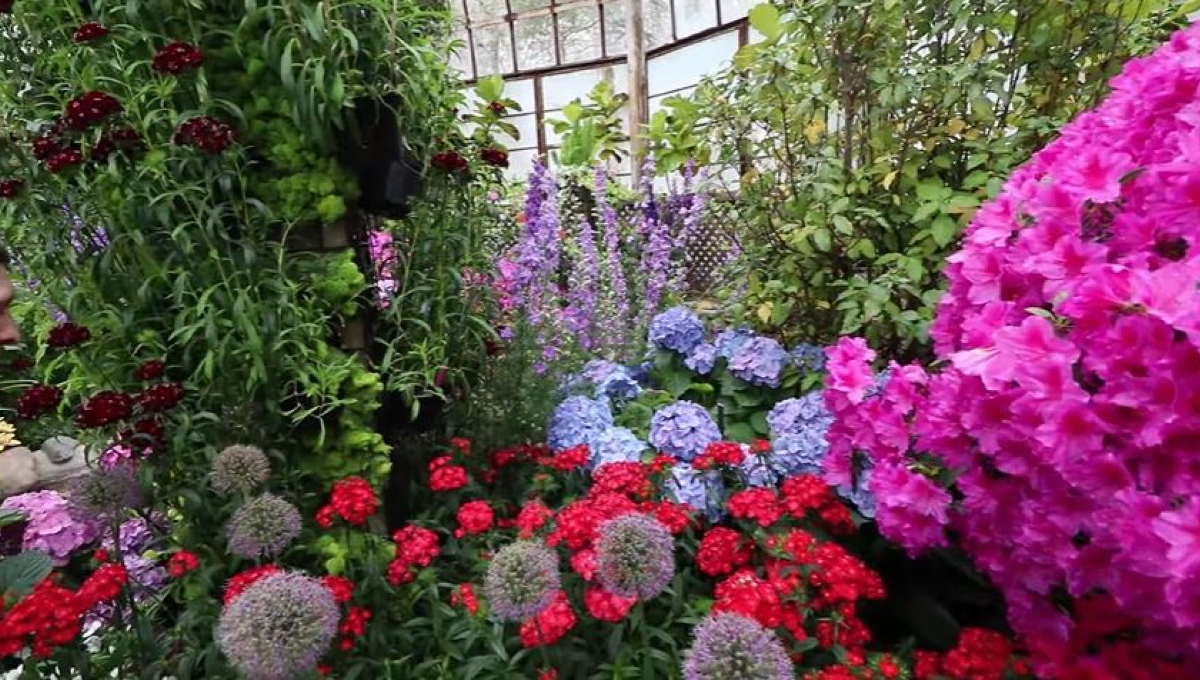 Lincoln Park Conservatory Flower Show YouTube