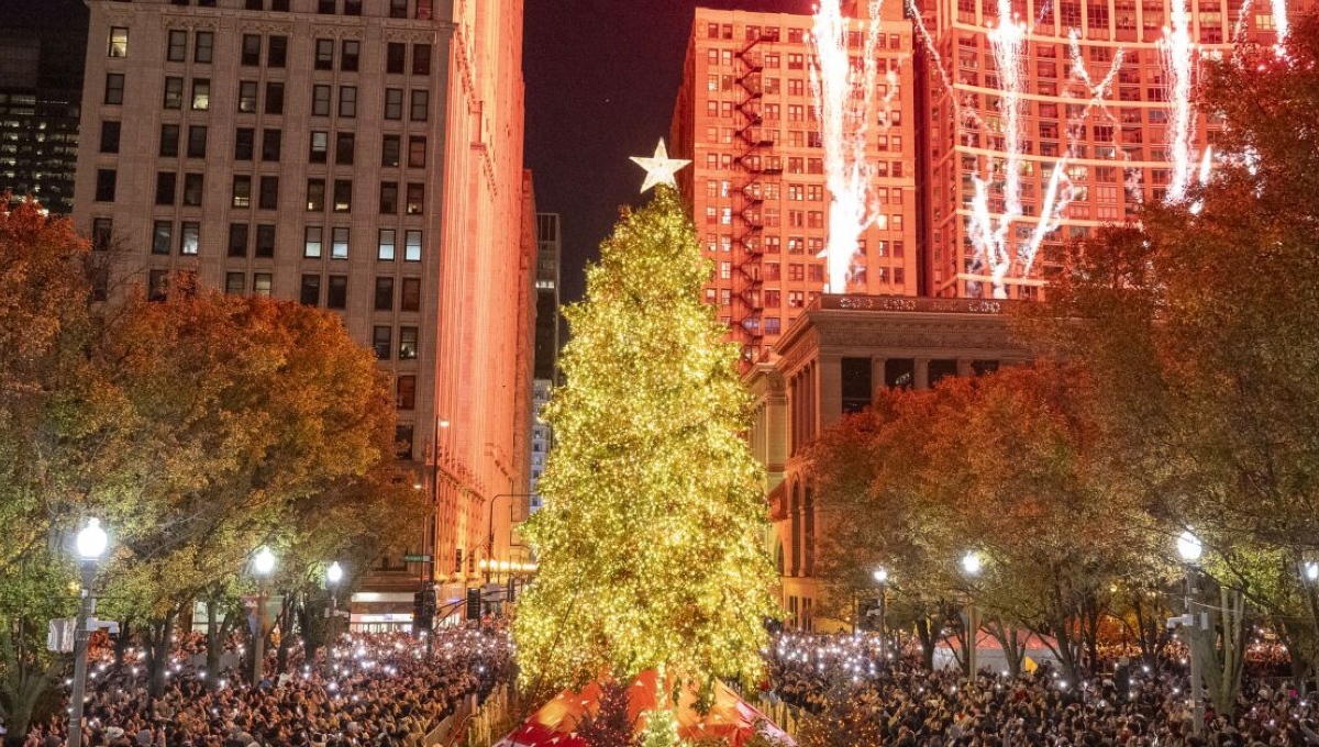 Millennium Park Christmas Tree Chicago