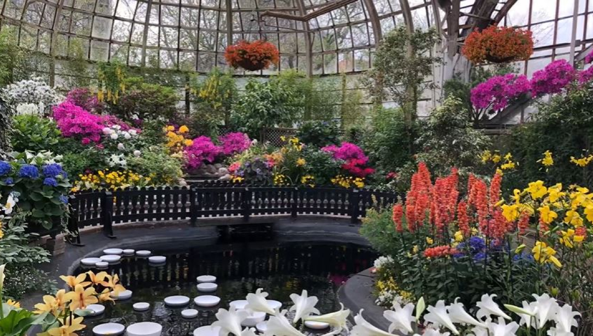 Lincoln Park Conservatory Flower Show YouTube
