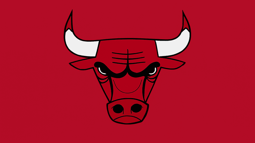 Chicago Bulls logo