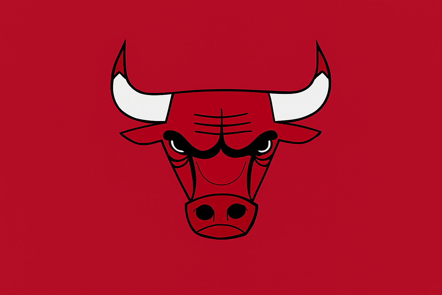 Chicago Bulls logo