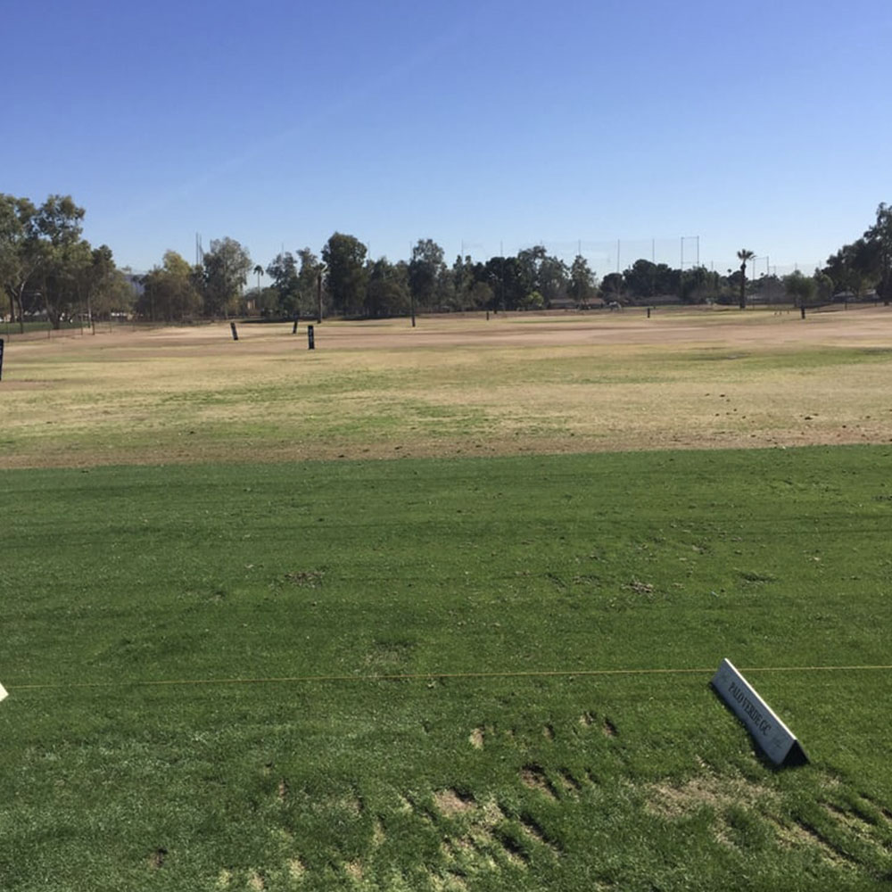 Palo Verde Golf Course in Phoenix, AZ | UrbanMatter Phoenix