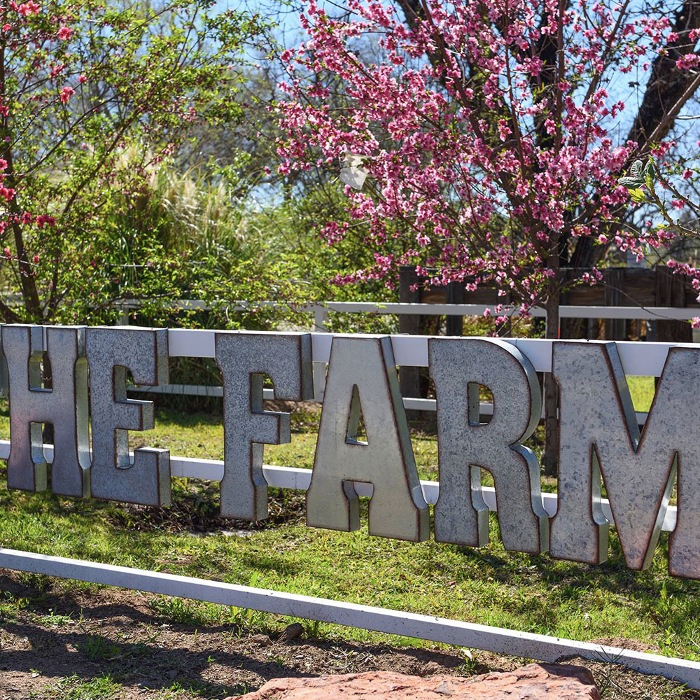 The Farm At South Mountain UrbanMatter Phoenix