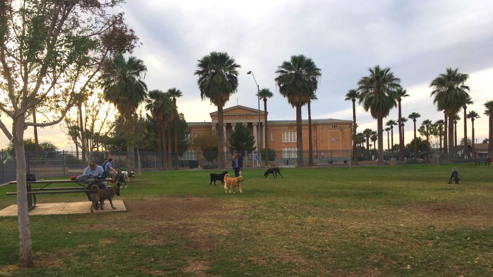 Dog Parks in Phoenix