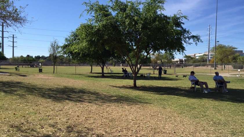 Dog Parks in Phoenix