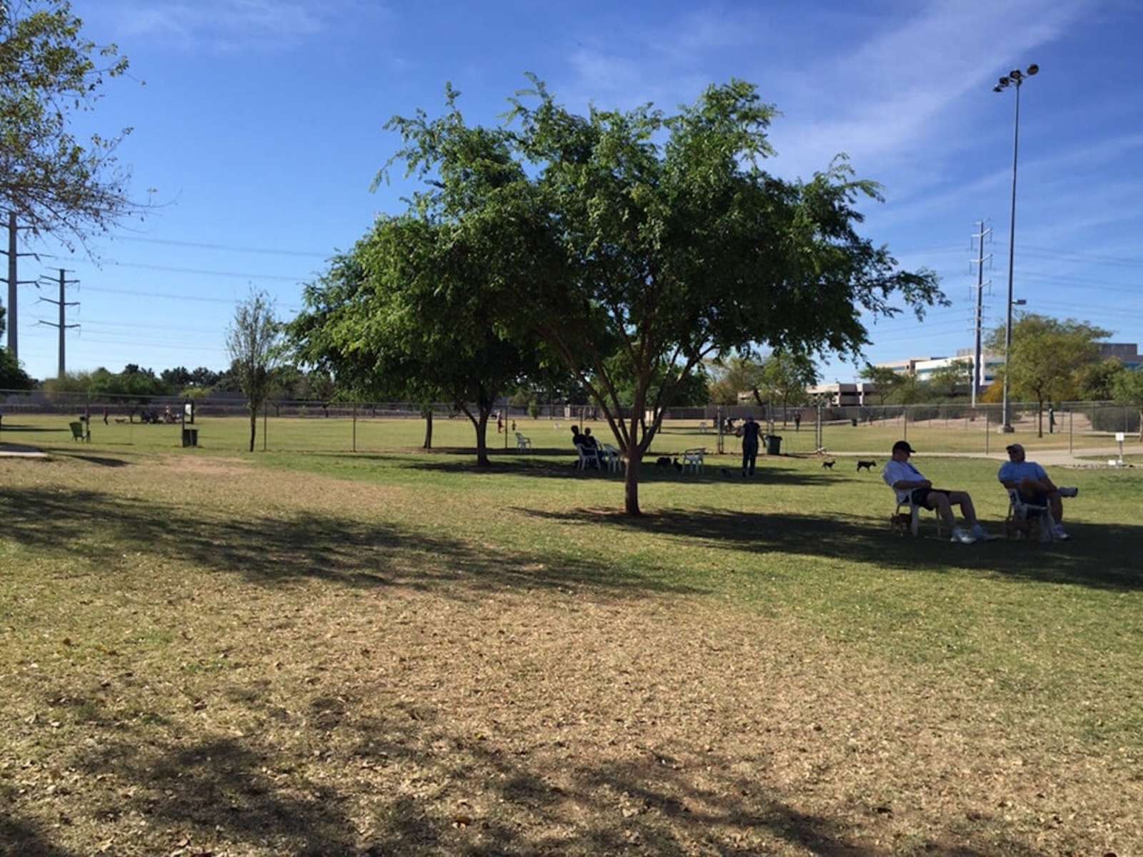 4 Best Dog Parks In Phoenix UrbanMatter Phoenix