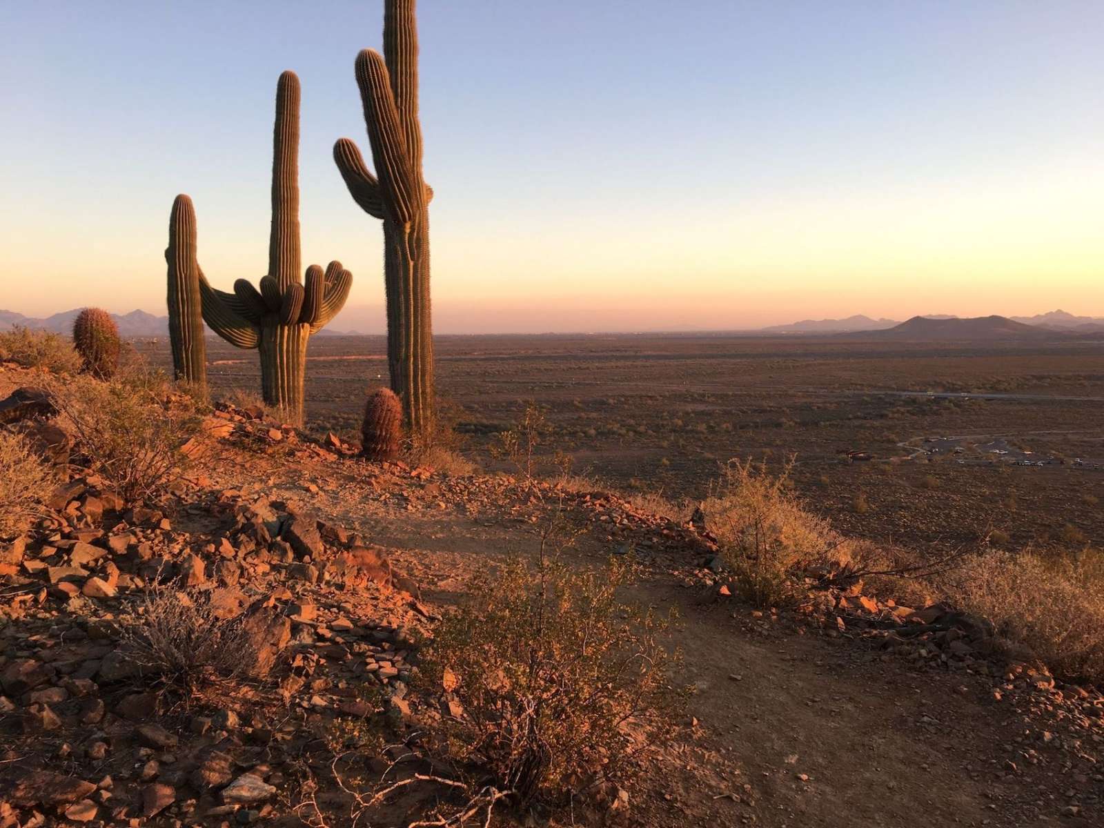 Horseback Riding in Phoenix