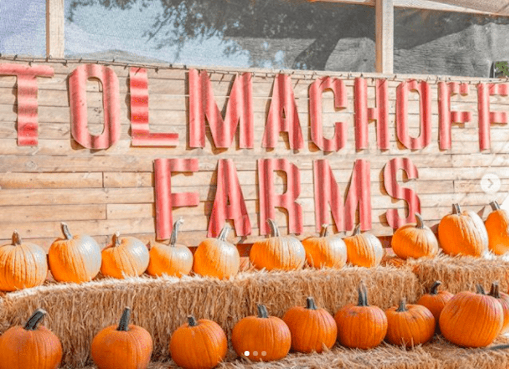 Pumpkin Patches Phoenix