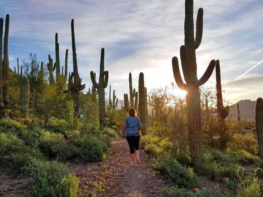 7-things-to-do-in-mesa-az-this-weekend-urbanmatter-phoenix