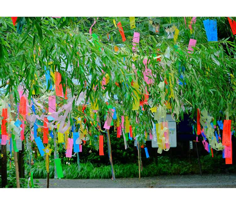 tanabata with Japanese Friendship Garden