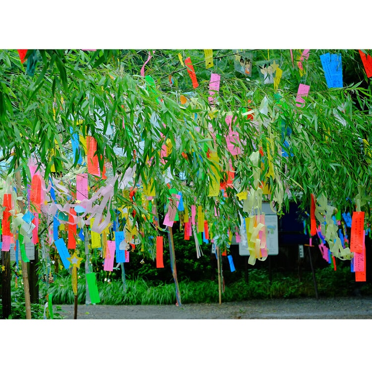 tanabata with Japanese Friendship Garden