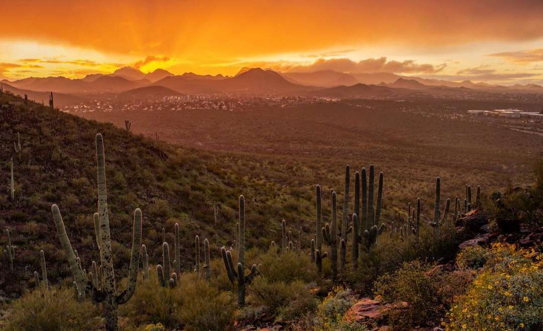 Sunsets in Tucson