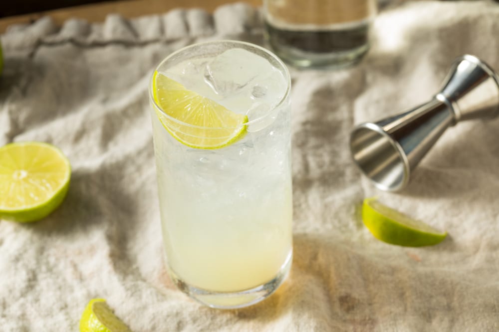 Gin Rickey Cocktail