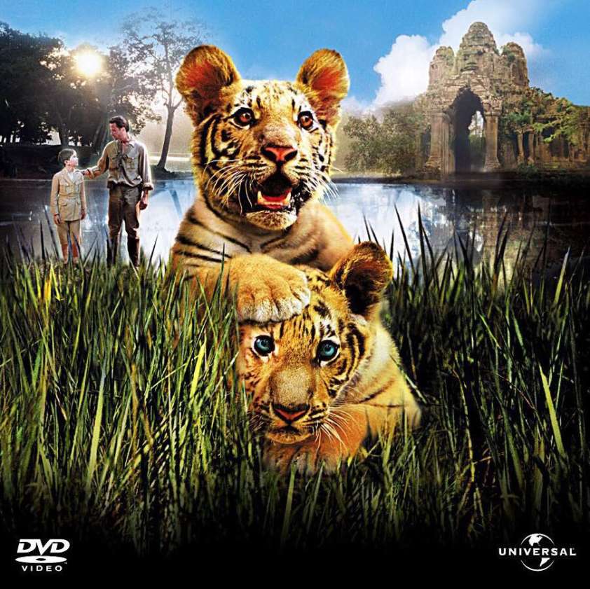 10 Tiger Movies and Documentaries to Watch Now That You’ve Finished