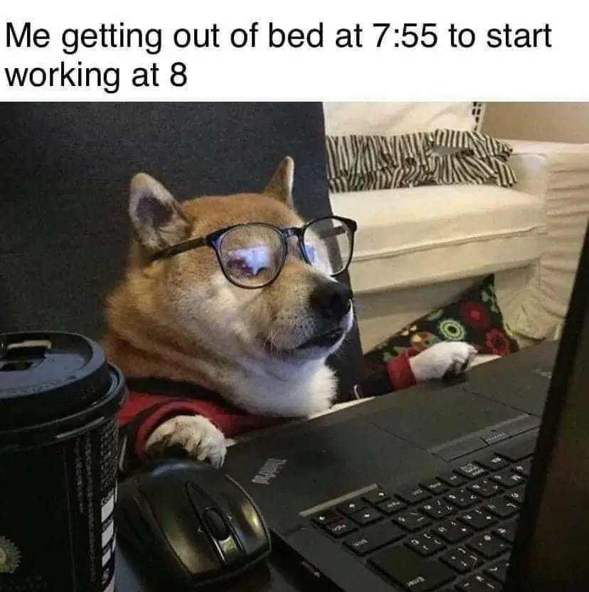 These Dog Memes Explain Exactly How We Feel About Quarantine Urbanmatter