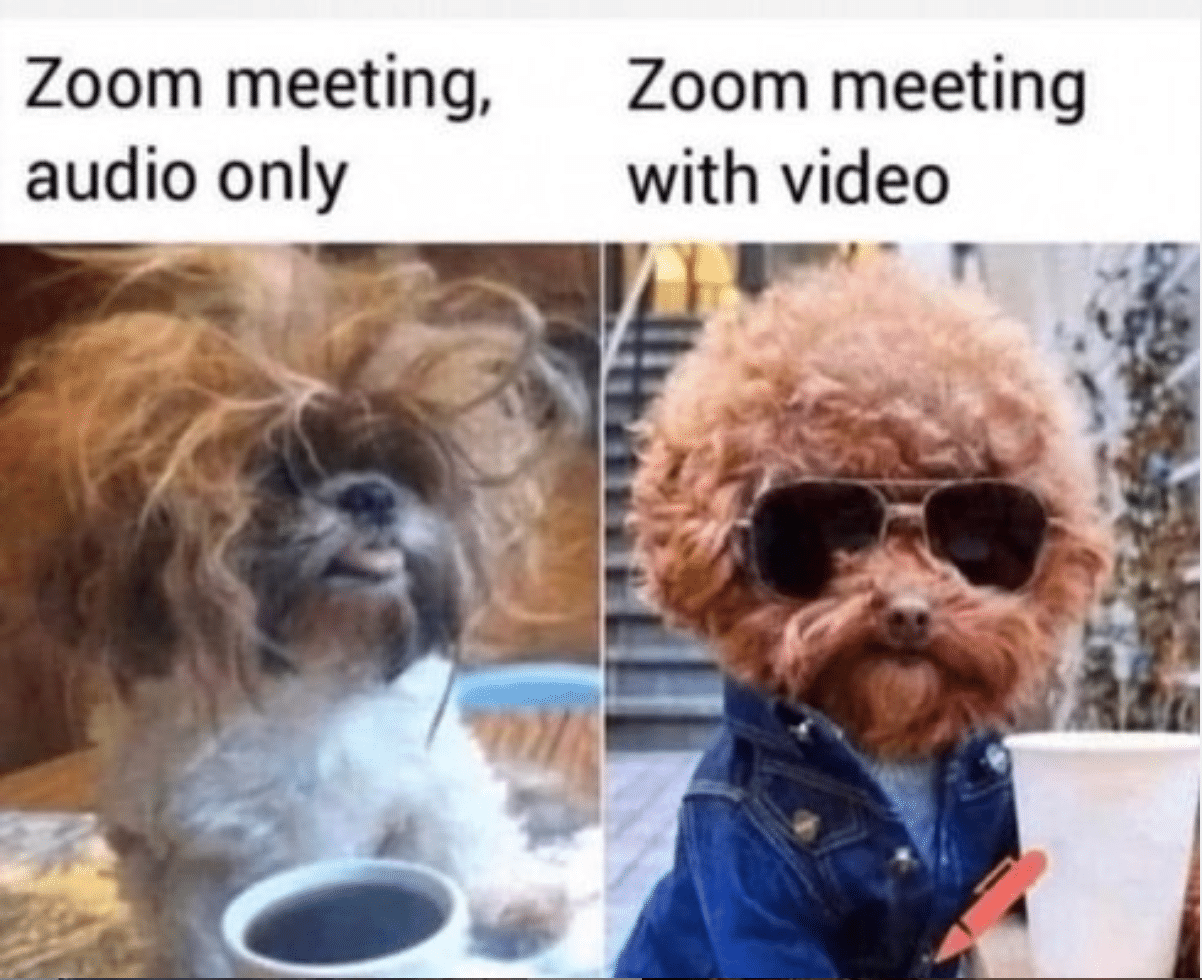 Meme Doggo 2020