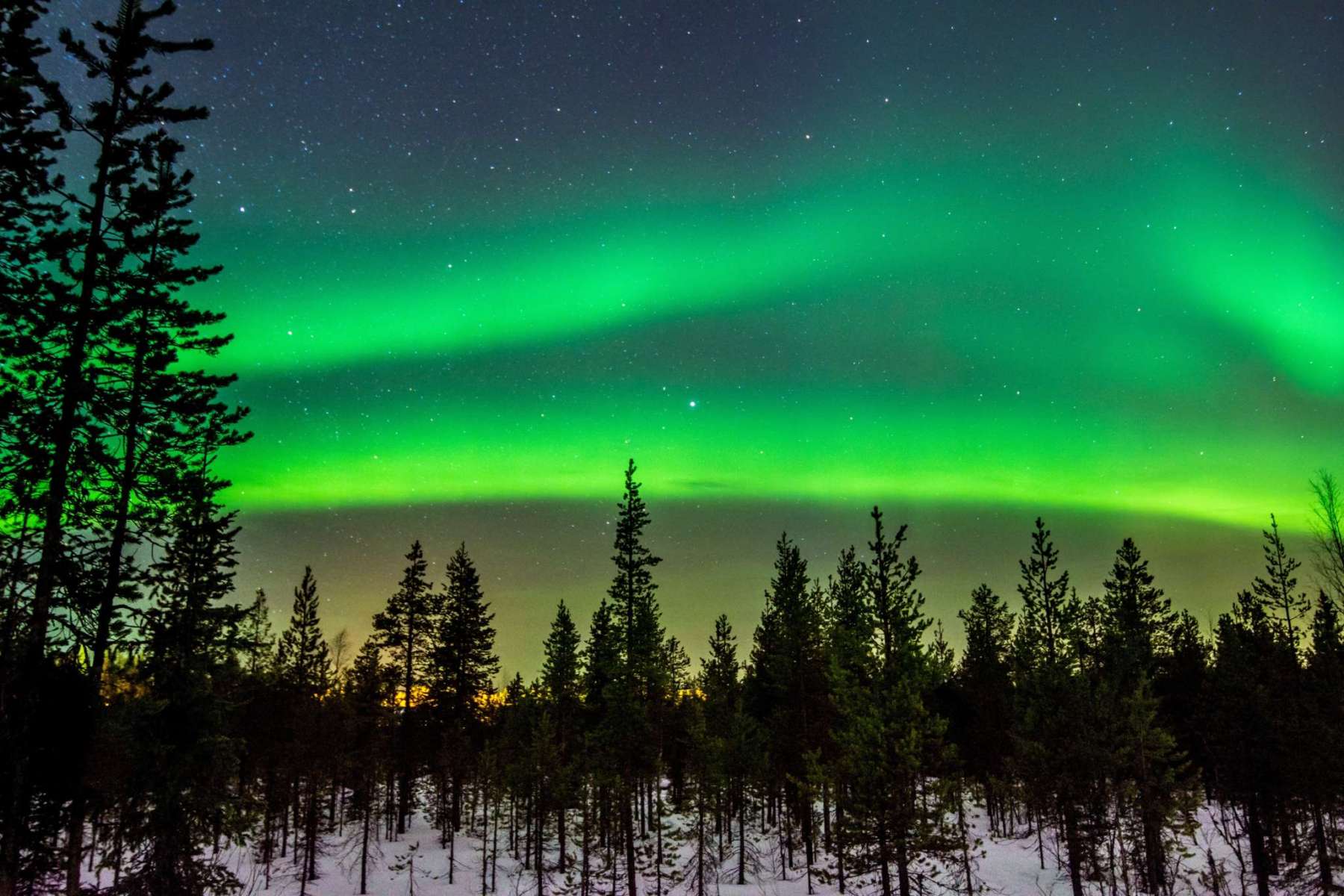 Северное сияние 6. Северное сияние Плесецк. Лапландия Кольский полуостров. Северное сияние ХМАО. Aurora Греен.